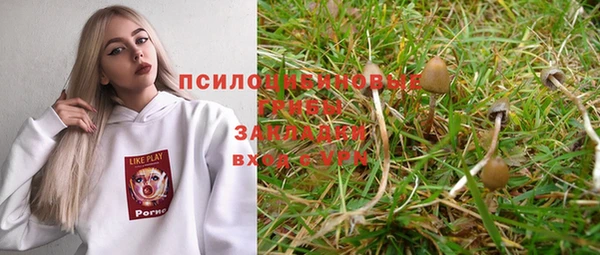 спайс Пестово