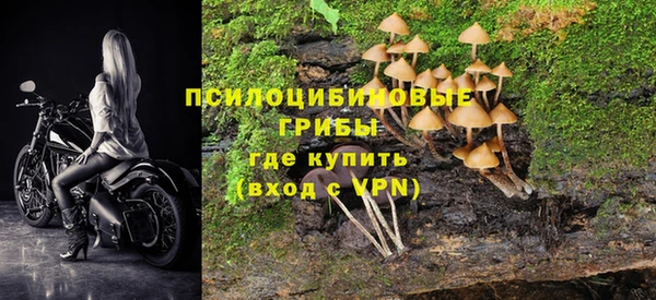 соль курить ск Пересвет