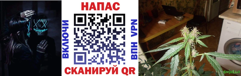 Бошки Шишки SATIVA & INDICA Искитим